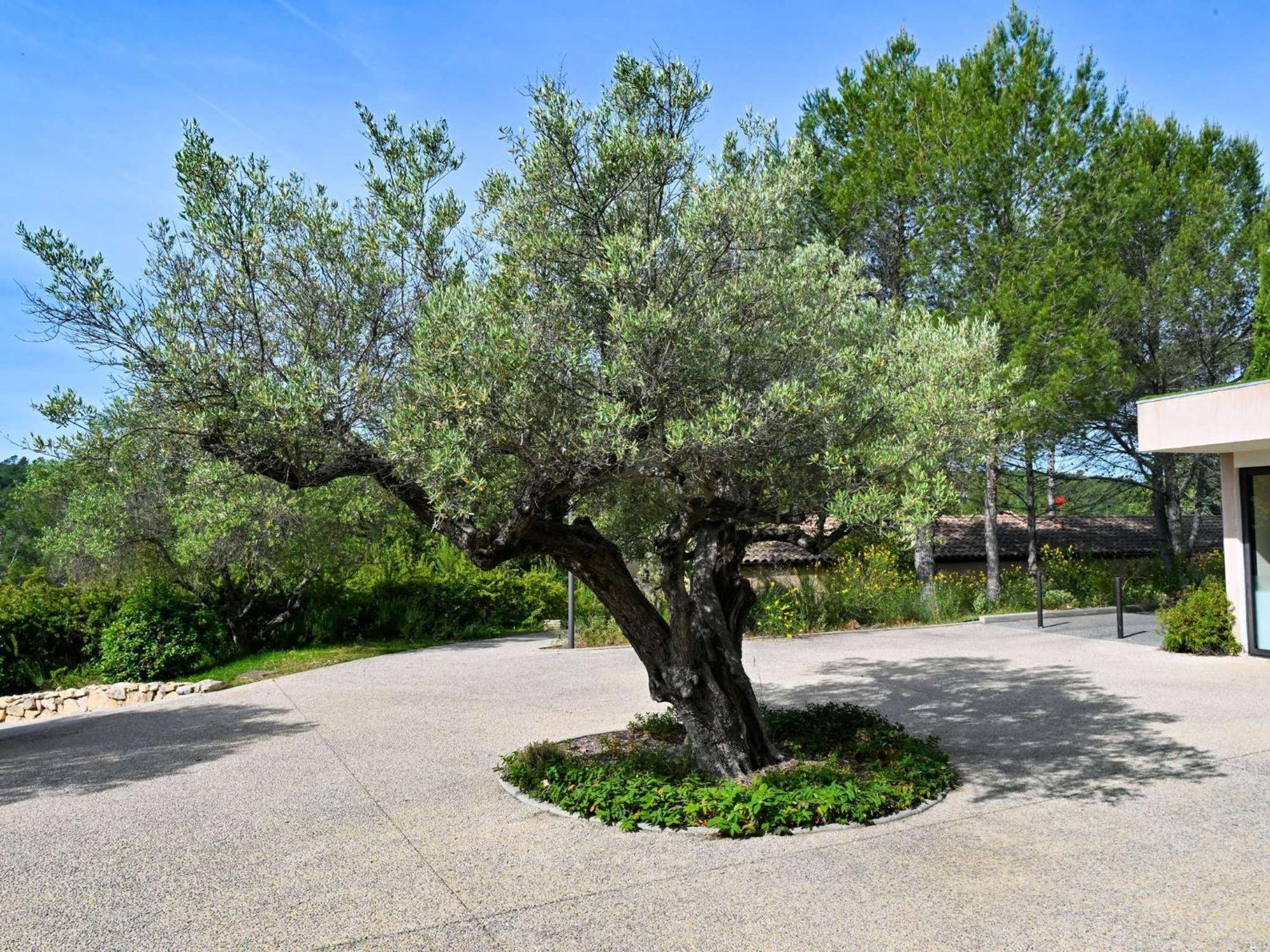 Mercure Brignoles Golf De Barbaroux & Spa Exteriör bild